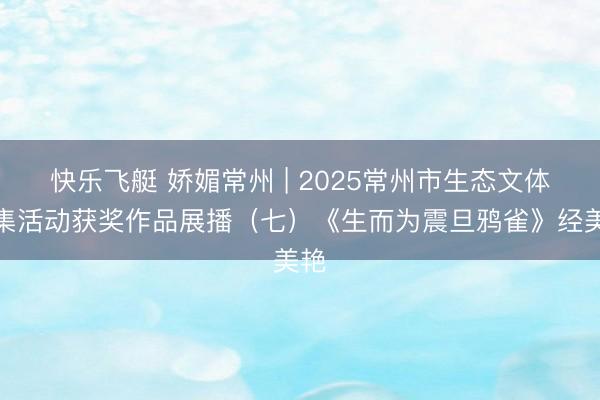 快乐飞艇 娇媚常州 | 2025常州市生态文体搜集活动获奖作品展播（七）《生而为震旦鸦雀》经美艳