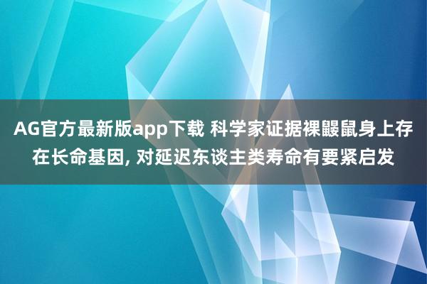 AG官方最新版app下载 科学家证据裸鼹鼠身上存在长命基因, 对延迟东谈主类寿命有要紧启发