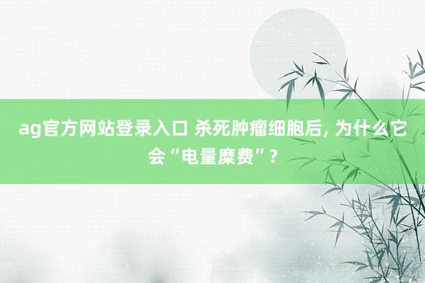 ag官方网站登录入口 杀死肿瘤细胞后， 为什么它会“电量糜费”?