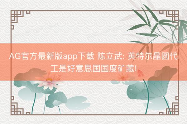AG官方最新版app下载 陈立武: 英特尔晶圆代工是好意思国国度矿藏!