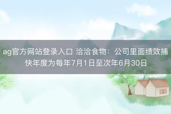 ag官方网站登录入口 洽洽食物：公司里面绩效捕快年度为每年7月1日至次年6月30日