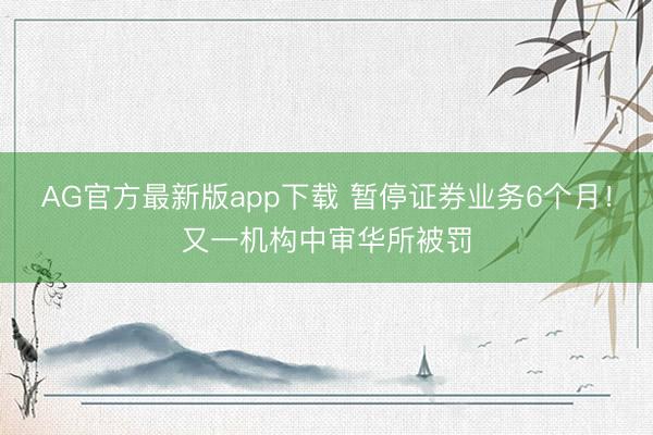 AG官方最新版app下载 暂停证券业务6个月！又一机构中审华所被罚