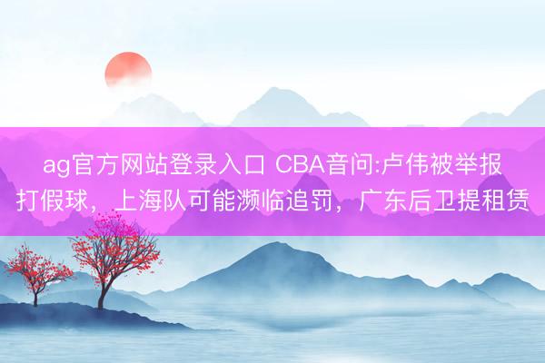 ag官方网站登录入口 CBA音问:卢伟被举报打假球，上海队可能濒临追罚，广东后卫提租赁